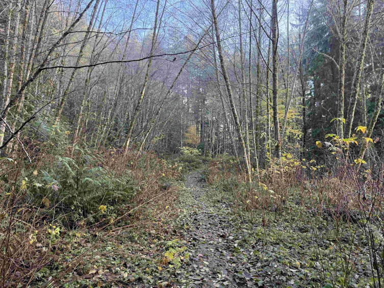 1594 Cemetery Road, Gibsons, BC, V0N 1V1 - 5