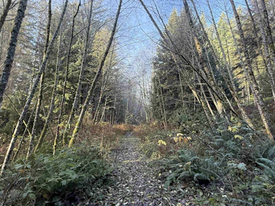 1594 Cemetery Road - 4