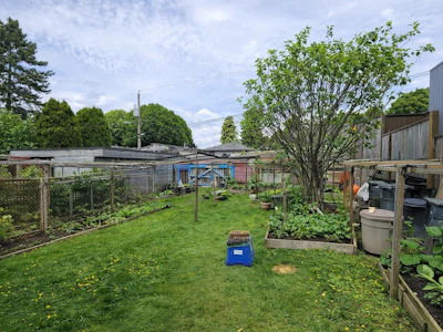 2719 Duke Street - 3