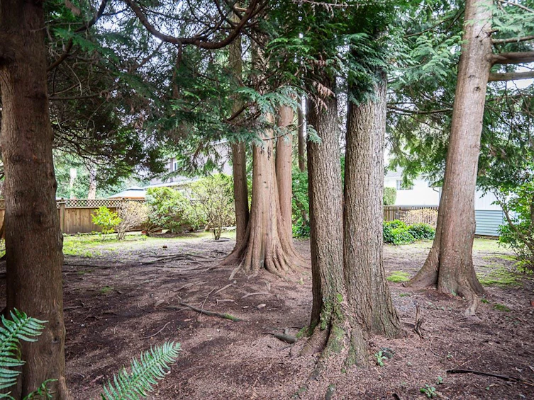 1634 Ross Road, North Vancouver, BC, V7J 1V4 - 32
