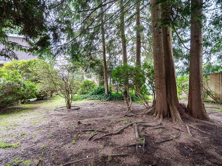 1634 Ross Road, North Vancouver, BC, V7J 1V4 - 31