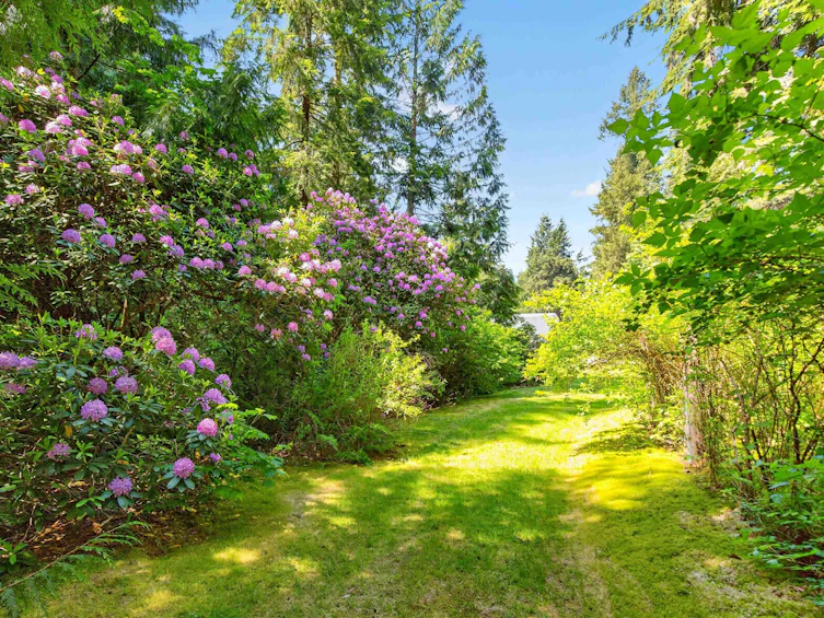 27656 110 Avenue, Maple Ridge, BC, V2W 1P6 - 37