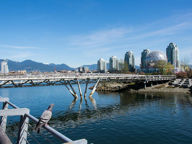 319-38 W 1st Avenue, Vancouver, BC, V5Y 0K3 - 18