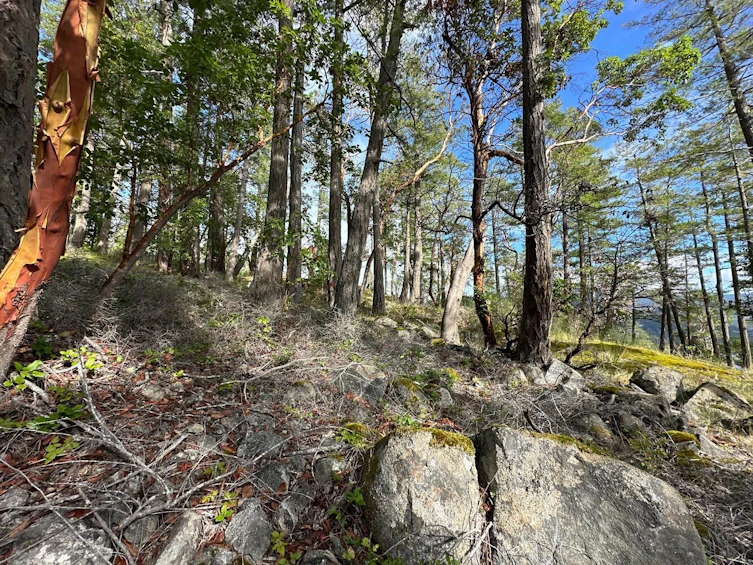LOT 14 Flagship Road, Pender Harbour Egmont, BC, V0N 1S1 - 7