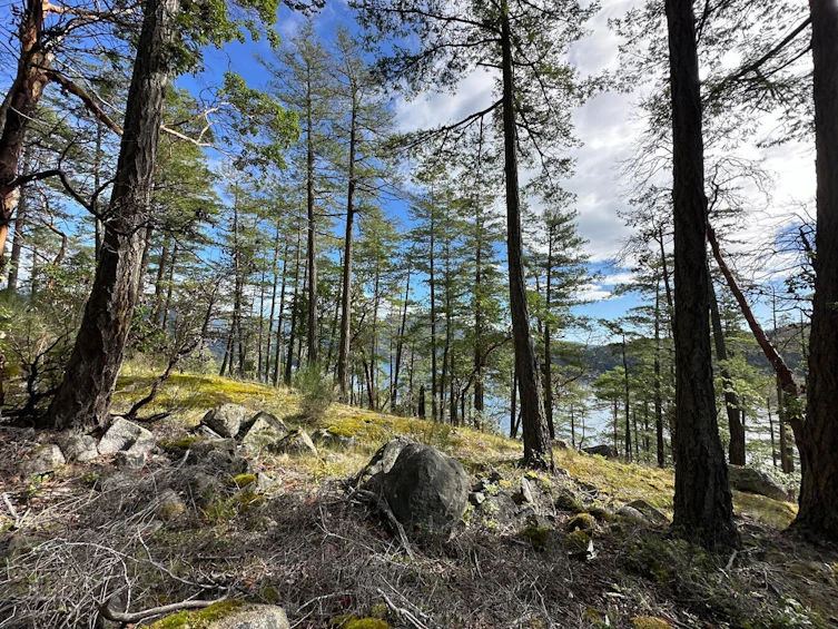 LOT 14 Flagship Road, Pender Harbour Egmont, BC, V0N 1S1 - 8