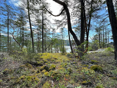 LOT 14 Flagship Road - 5