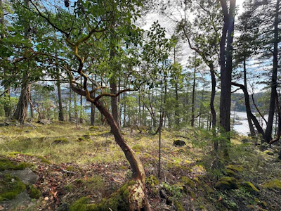 LOT 14 Flagship Road - 3
