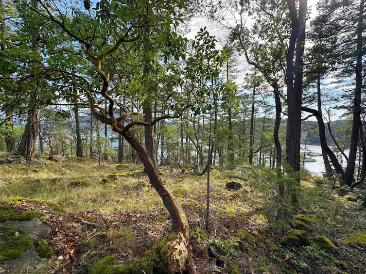 LOT 14 Flagship Road, Pender Harbour Egmont, BC, V0N 1S1 - 3
