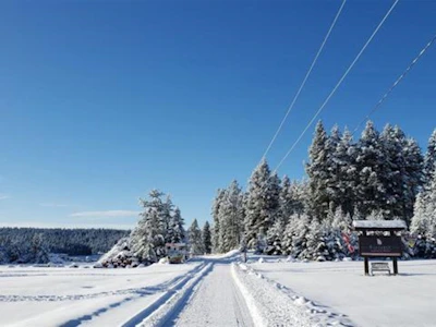 LOT 101-4435 Fircrest Road - 5
