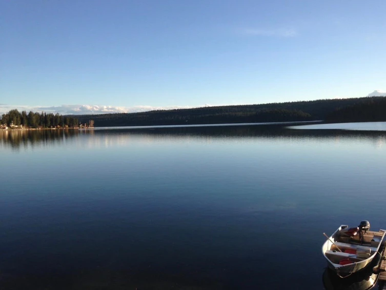 LOT 101-4435 Fircrest Road, Lac La Hache, BC, V0K 1T1 - 4
