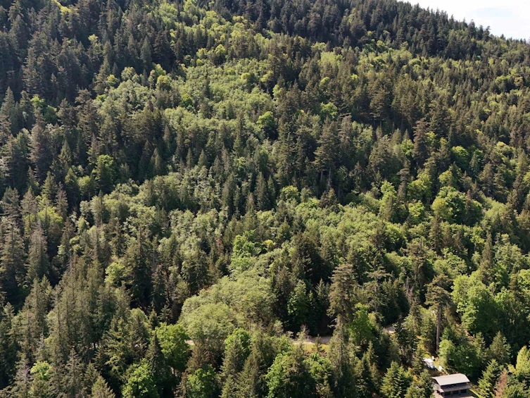 LOT 19 Smugglers Cove Road, Bowen Island, BC, V0N 1G1 - 6