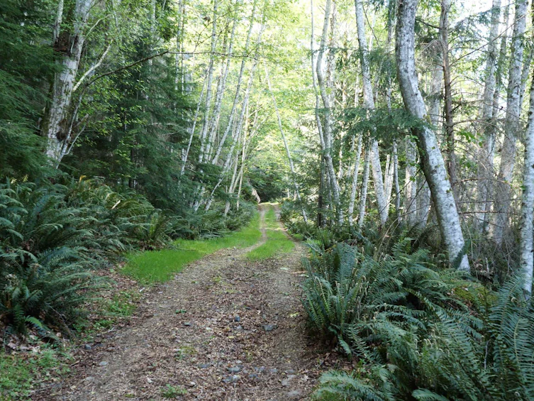 LOT 19 Smugglers Cove Road, Bowen Island, BC, V0N 1G1 - 4
