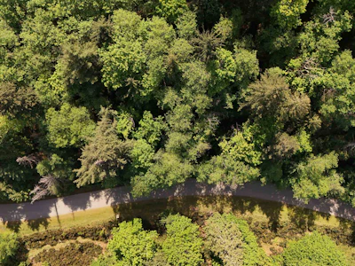 LOT 19 Smugglers Cove Road - 2