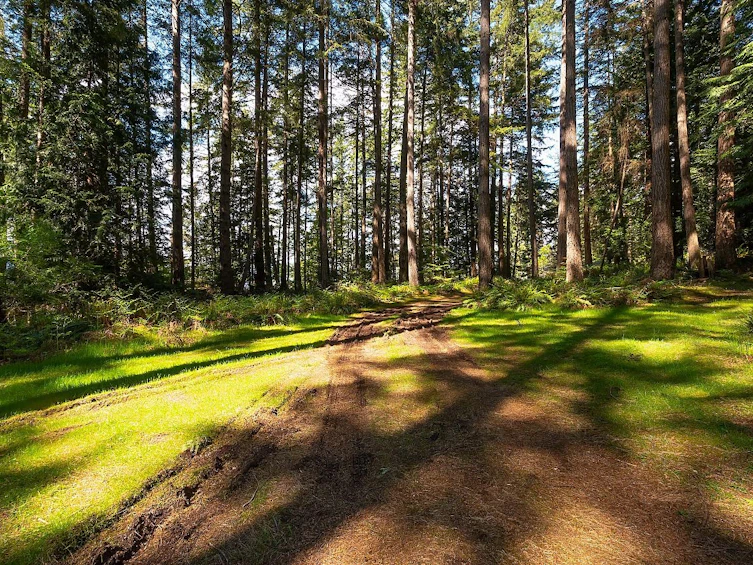 1750 Billington Road, Bowen Island, BC, V0N 1G2 - 4