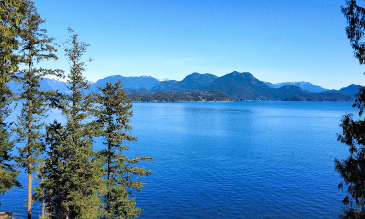 LOT 18 Cotton Point