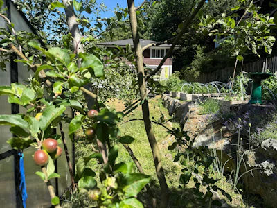 1288 Eagle Cliff Road - 3