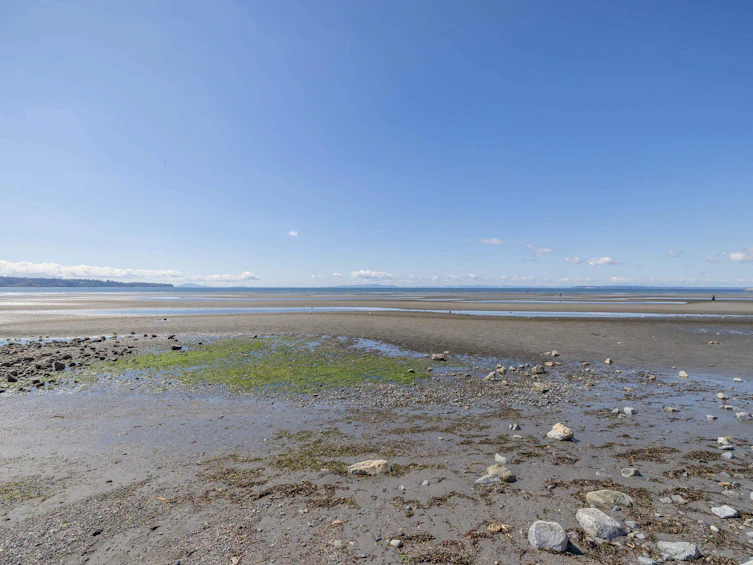 403-15621 Marine Drive, Surrey, BC, V4B 1E1 - 39