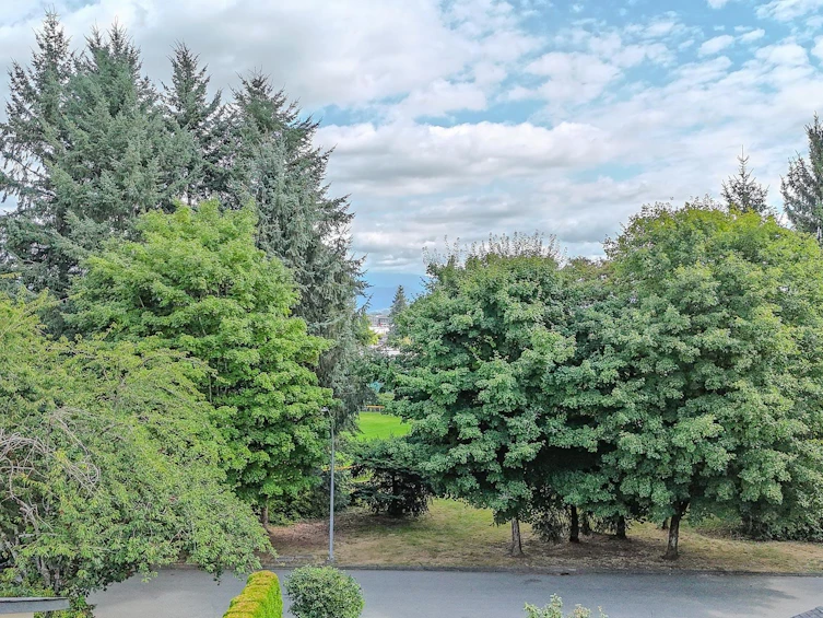 1668 Connaught Drive, Port Coquitlam, BC, V3C 4G8 - 38