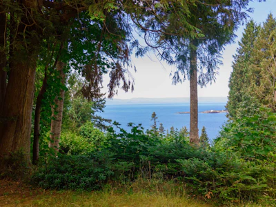 8127 Redrooffs Road - 2