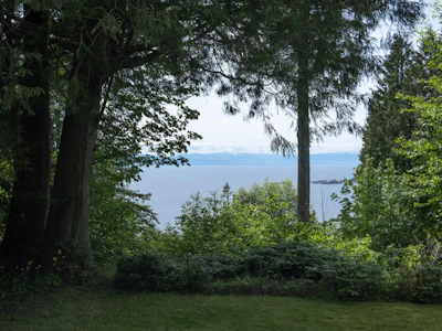 8127 Redrooffs Road - 2
