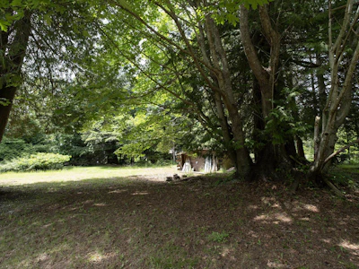 8127 Redrooffs Road - 5
