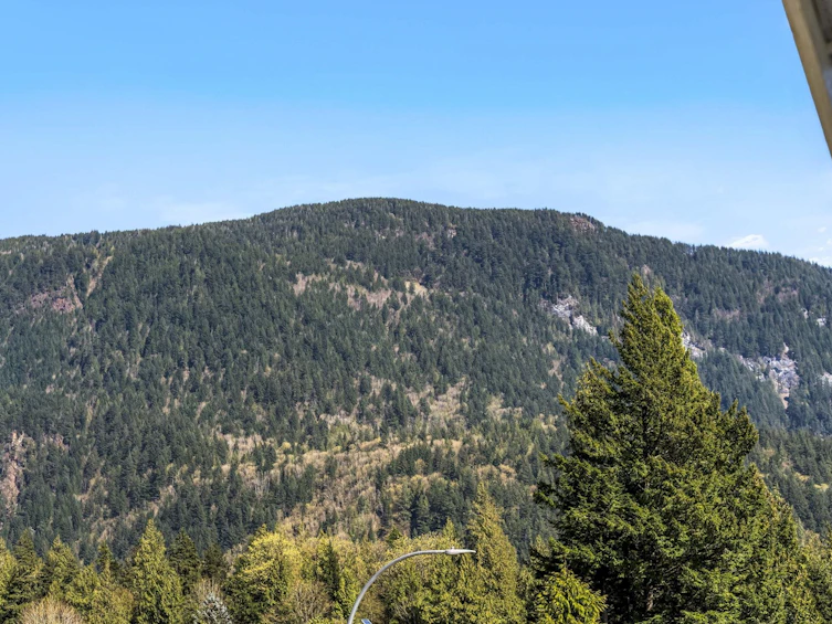 862 Willow Place, Harrison Hot Springs, BC, V0M 1K0 - 24