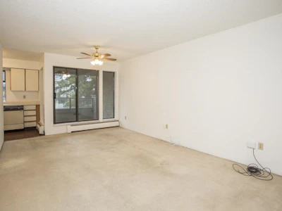 322-8460 Ackroyd Road - 4