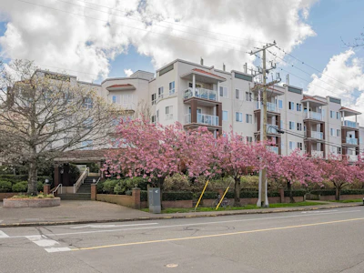 313-4768 53 Street - 2