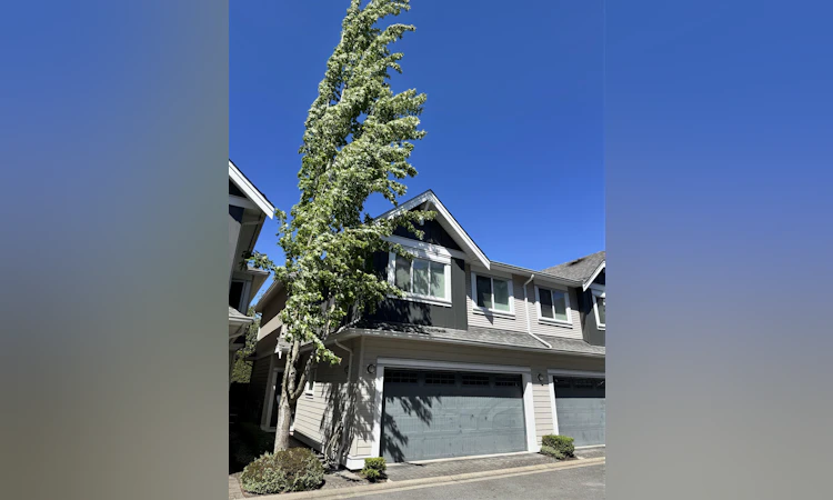 10-8091 Williams Road