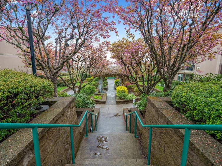 207-78 Richmond Street, New Westminster, BC, V3L 5T2 - 25