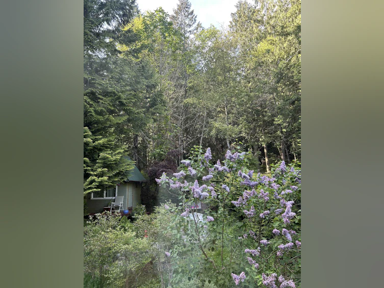 15-1131 Emery Road, Roberts Creek, BC, V0N 2W0 - 28
