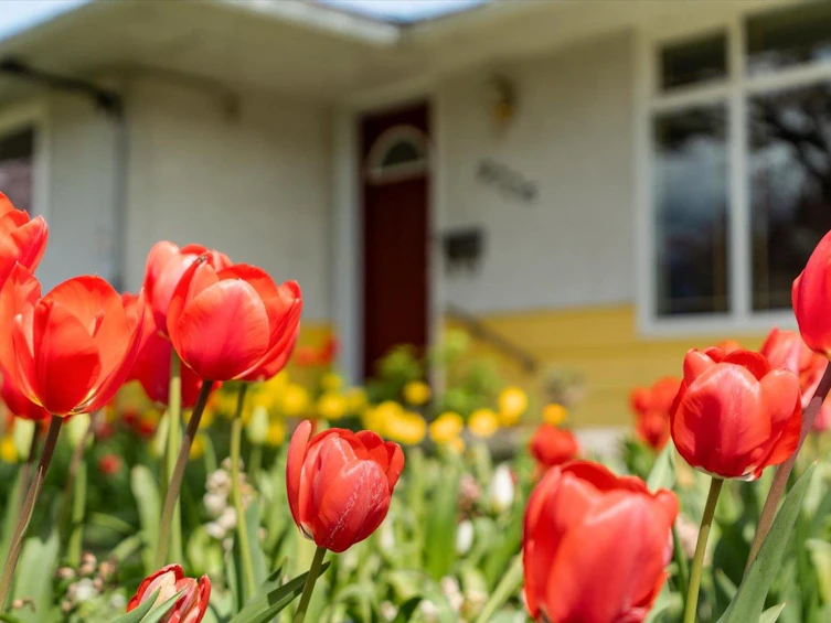 9726 Juniper Street, Chilliwack, BC, V2P 5J1 - 2