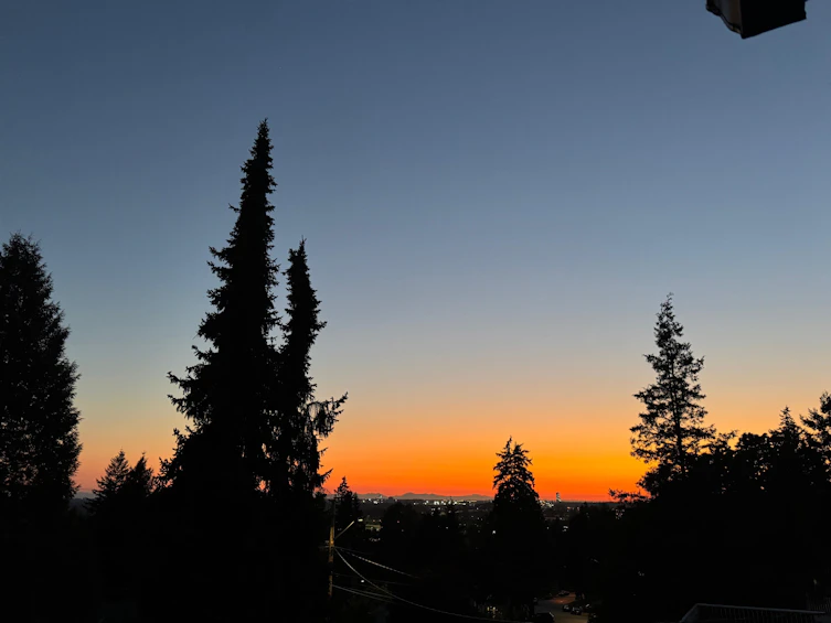 10671 Westside Drive, Delta, BC, V4C 1R5 - 32
