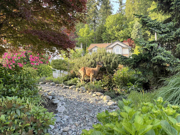 11 Harbour Place, Port Moody, BC, V3H 4J8 - 36