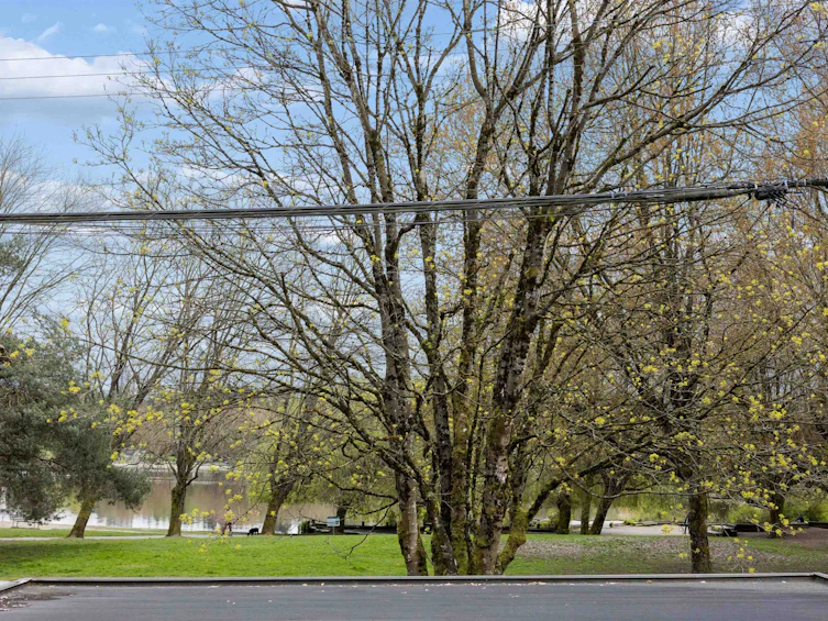 2056 E 13th Avenue, Vancouver, BC, V5N 2C4 - 3
