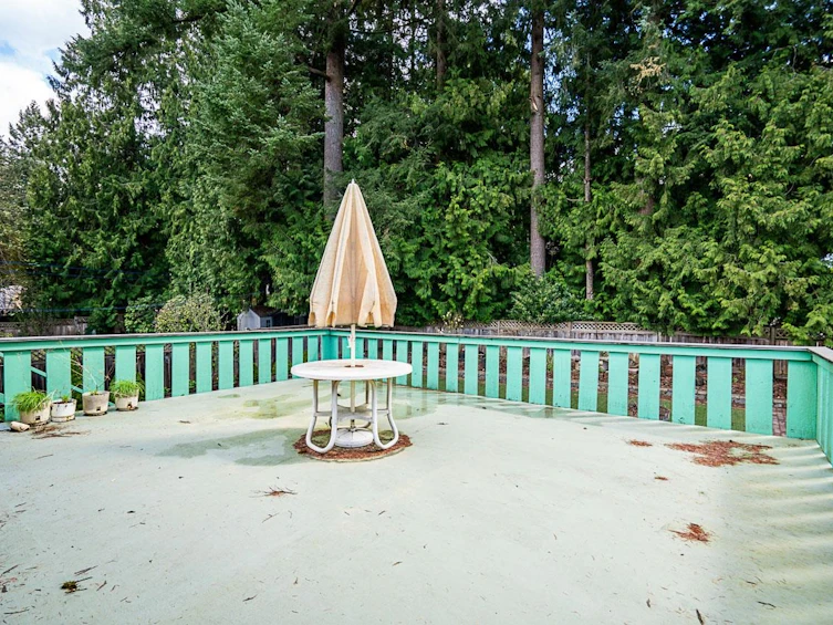 1710 Western Drive, Port Coquitlam, BC, V3C 2X3 - 29
