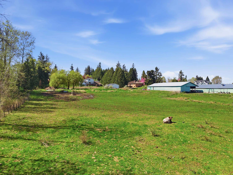 1358 227 Street, Langley, BC, V2Z 2W8 - 33