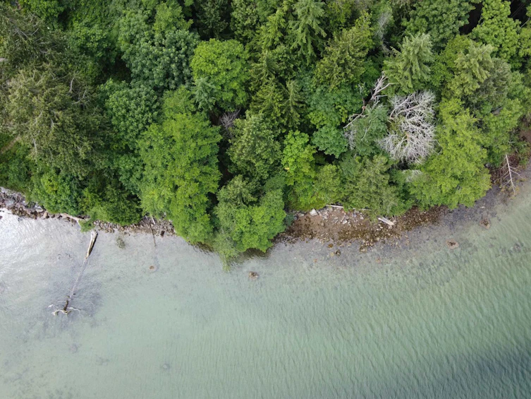 6340 N Gale Avenue, Sechelt, BC, V7Z 0P8 - 7