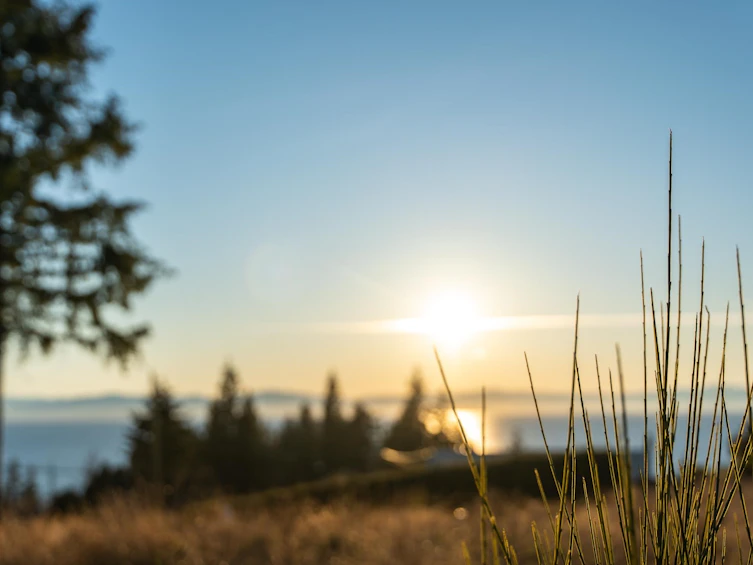 LOT 1 Salal Road, Sechelt, BC, V7Z 0G4 - 12