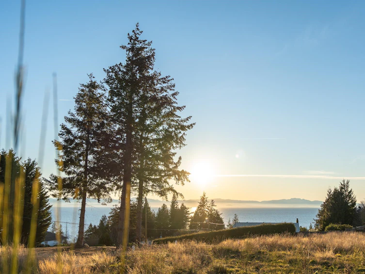LOT 1 Salal Road, Sechelt, BC, V7Z 0G4 - 13