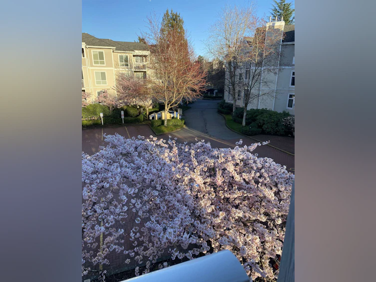 212-7437 Moffatt Road, Richmond, BC, V6Y 1X9 - 16