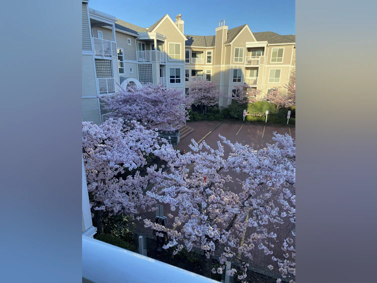 212-7437 Moffatt Road, Richmond, BC, V6Y 1X9 - 14