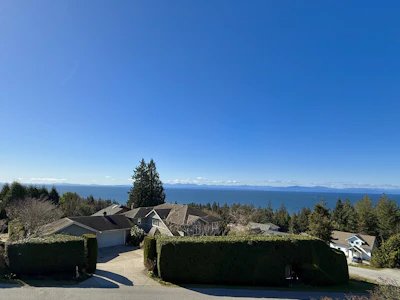 1496 Bonniebrook Heights Road - 4