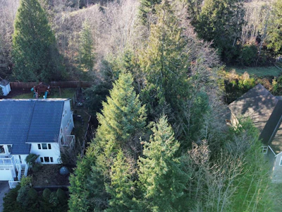 Lot 99 N Gale Avenue - 5