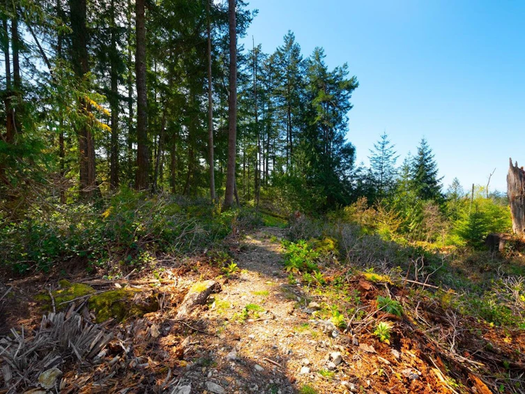 Lot 1 Innisfree Lane, Bowen Island, BC, V0N 1G2 - 6