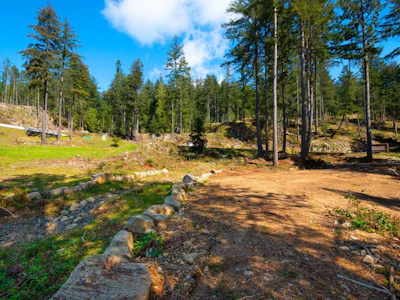 Lot 1 Innisfree Lane - 5