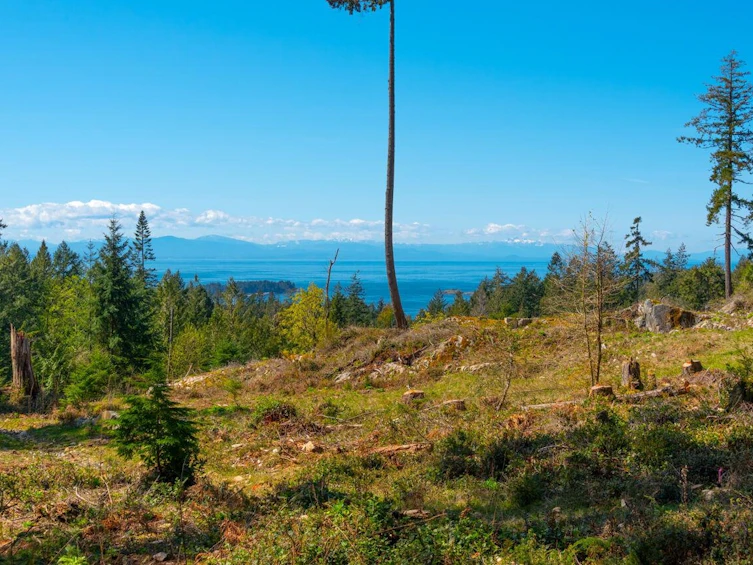 Lot 1 Innisfree Lane, Bowen Island, BC, V0N 1G2
