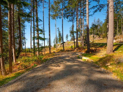 Lot 1 Innisfree Lane - 2