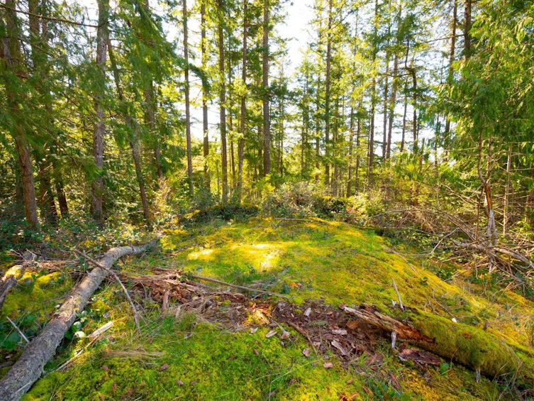 Lot 1 Innisfree Lane, Bowen Island, BC, V0N 1G2 - 7