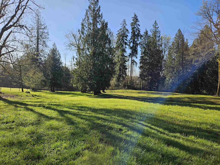 25080 4 Avenue, Langley, BC, V4W 2H3 - 7